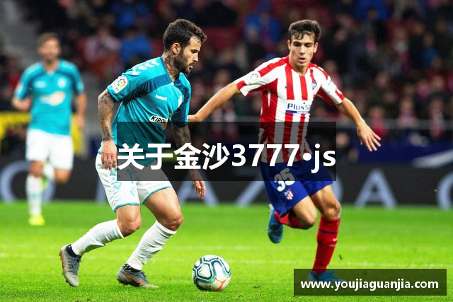 关于金沙3777·js